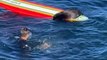 Californie : les autorités traquent... une loutre de mer qui terrorise les surfeurs