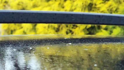 Chuva congelante é registrada em São Joaquim