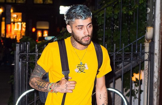 El trauma de Zayn Malik con los animales: su mascota favorita murió entre sus brazos