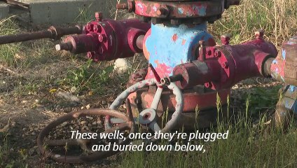 Deserted Canadian oil wells: an ecological time bomb