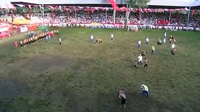 Kırkpınar'da çeyrek finale yükselen Başpehlivanlar belli oldu