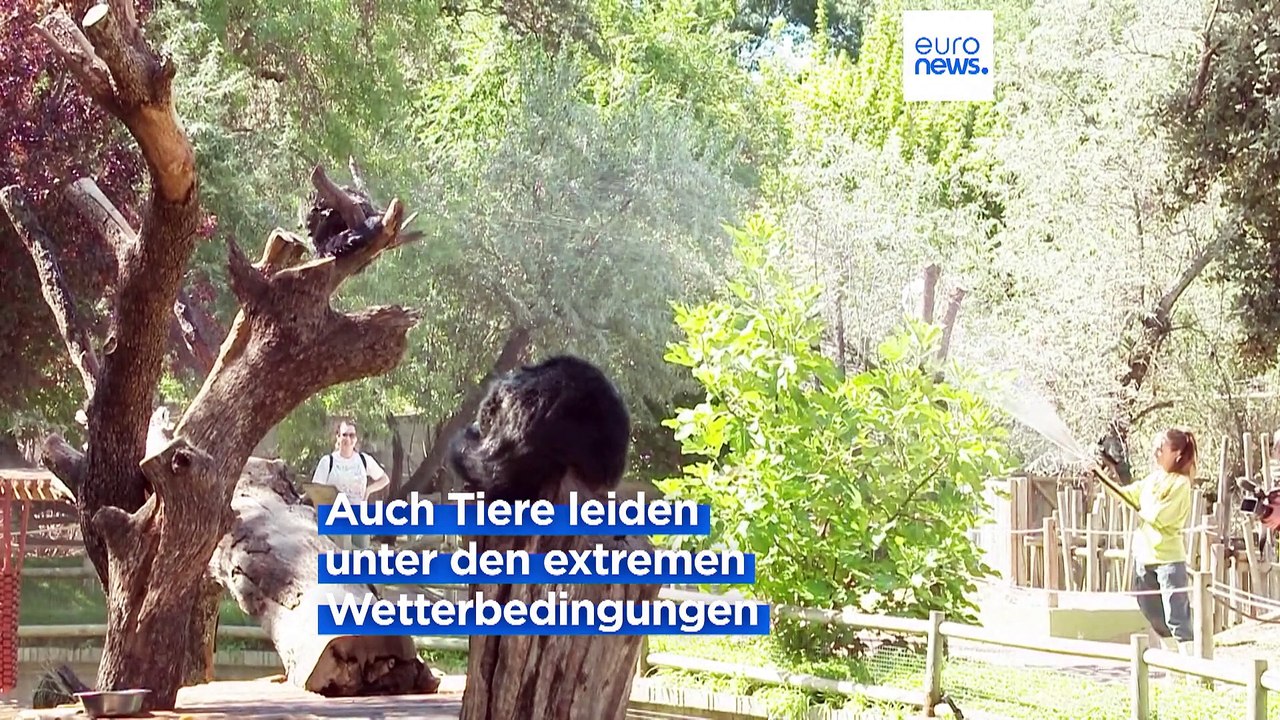 Hitzewelle 'Cerberus' lässt Temperaturen in Südeuropa über 40 Grad klettern