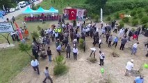 251 jeunes arbres ont rencontré de la terre en mémoire des martyrs du 15 juillet à Sinop