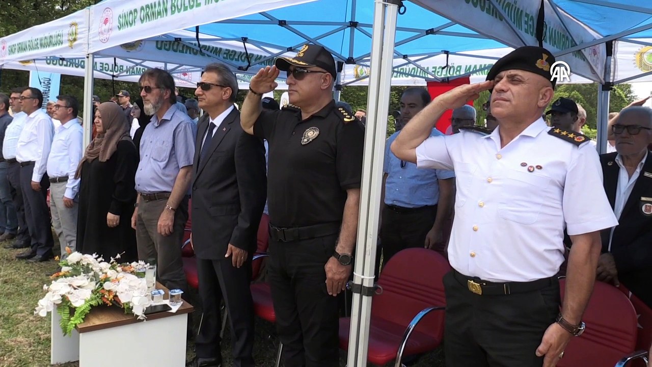 Sinop fidan dikimi