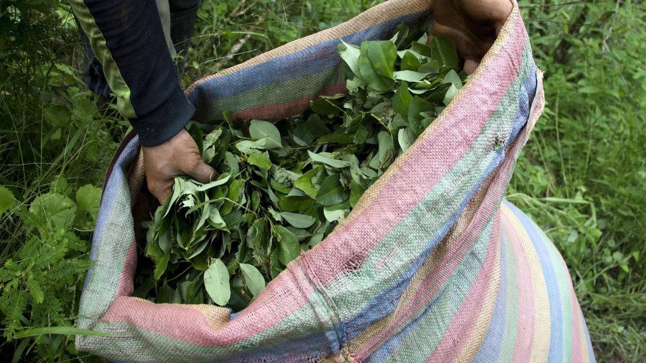 ¿Qué efectos tendrá para Colombia que EE. UU. n...