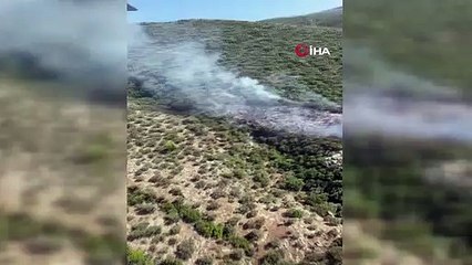 Kaş'taki orman yangını söndürüldü