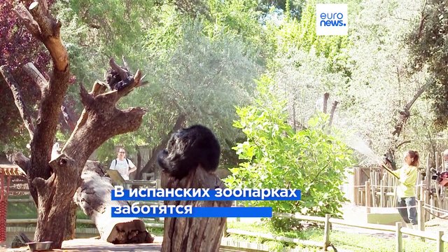 Аномальная жара накрывает Южную Европу