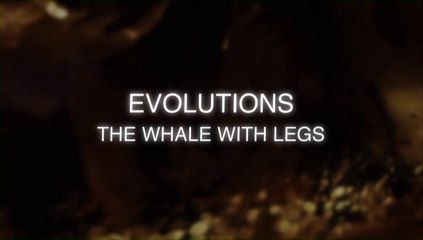 Evolutions - Ep 1 The Whale With Legs (2008)