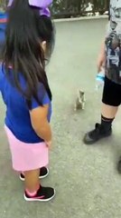 A squirrel asks passers-by to drink, and a monkey rubs burning pots