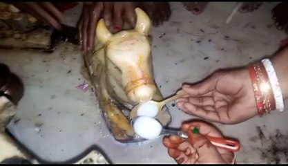 দুধ নিমেষে খেয়ে শেষ করছে নন্দী! দেখুন সেই ভাইরাল ভিডিও | Oneindia Bengali