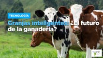 Granjas inteligentes: ¿El futuro de la ganadería?