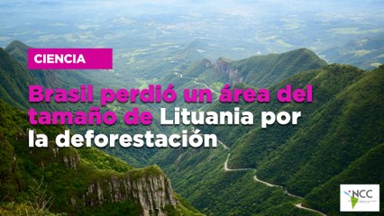 Brasil perdió un área del tamaño de Lituania por la deforestación