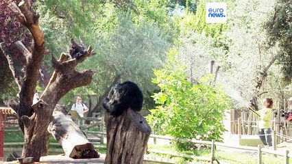 Europa podría superar su récord de temperatura en los próximos días