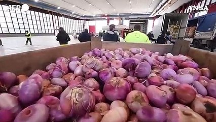 Onu: "Allarme fame sempre alto, colpiti in 735 milioni"