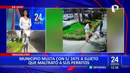 Maltrato animal: denunciarán a sujeto que agredió a mascota en la vía pública