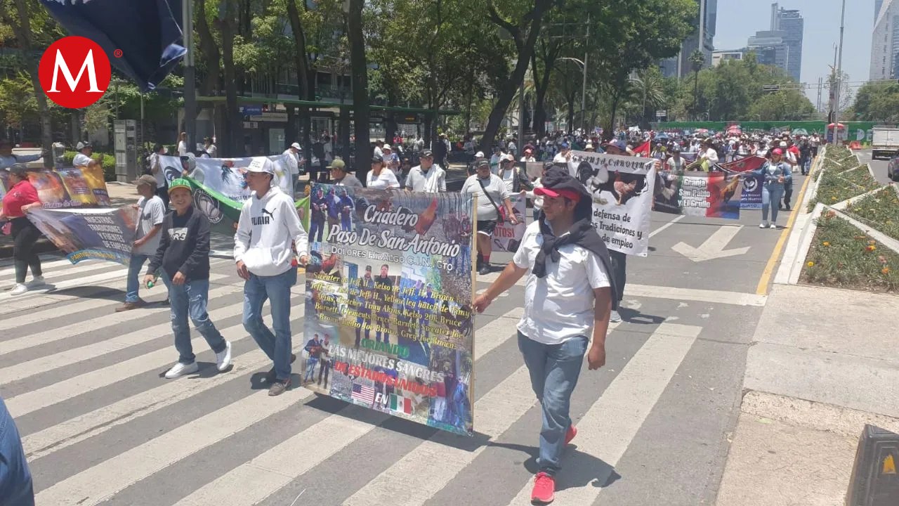 En CdMx, galleros bloquean la Terminal 1 del AICM