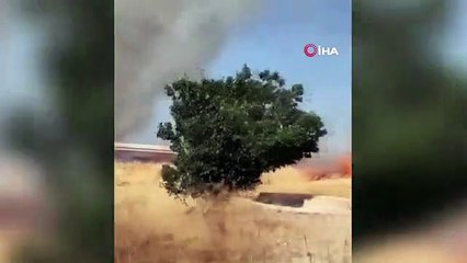 30 acres de champs de céréales réduits en cendres dans l'incendie de Burdur