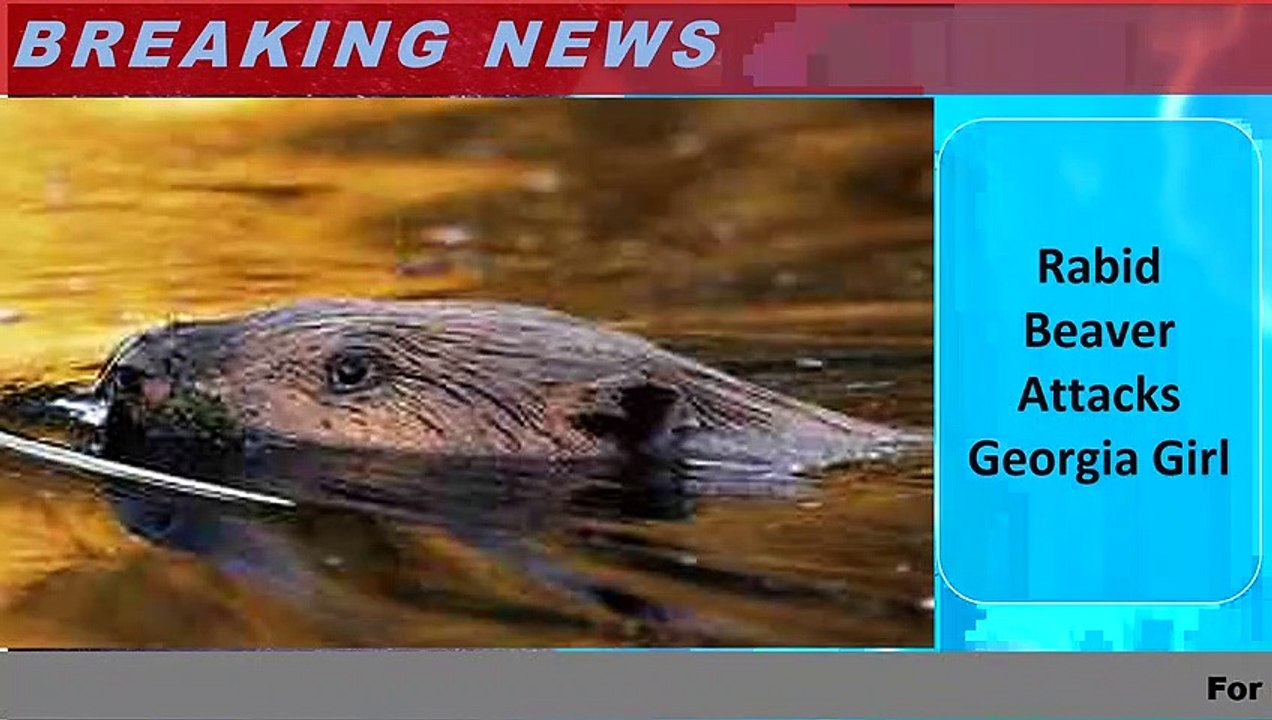 Rabid Beaver Attacks Georgia Girl