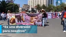 A favor de la tauromaquia y las peleas de gallos, marchan en la CDMX