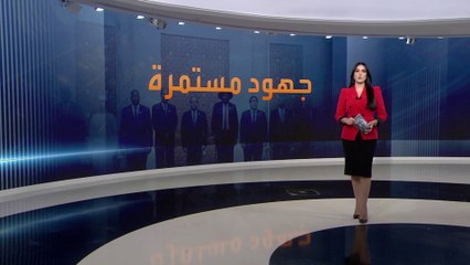 دول الجوار تحاول إقناع طرفي النزاع السوداني بحل الأزمة