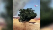 30 acres de champs de céréales réduits en cendres dans l'incendie de Burdur