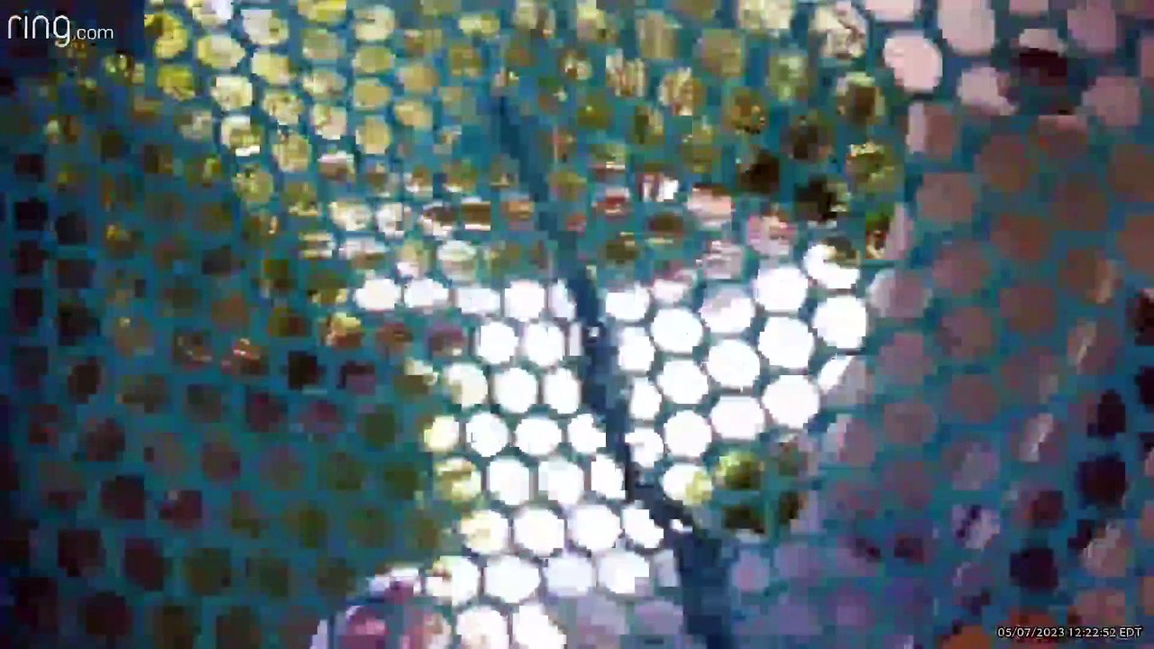 Child Bangs on Security Camera  With Pool Net