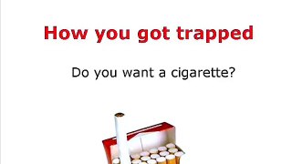 Joel Spitzer - WHY smokers smoke .. how Nicotine addiction works .. it does not fix stress at all, actually
