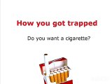 Joel Spitzer - WHY smokers smoke .. how Nicotine addiction works .. it does not fix stress at all, actually
