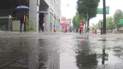 전국 강한 장맛비...충청·호남·경북 북부 '호우경보' / YTN