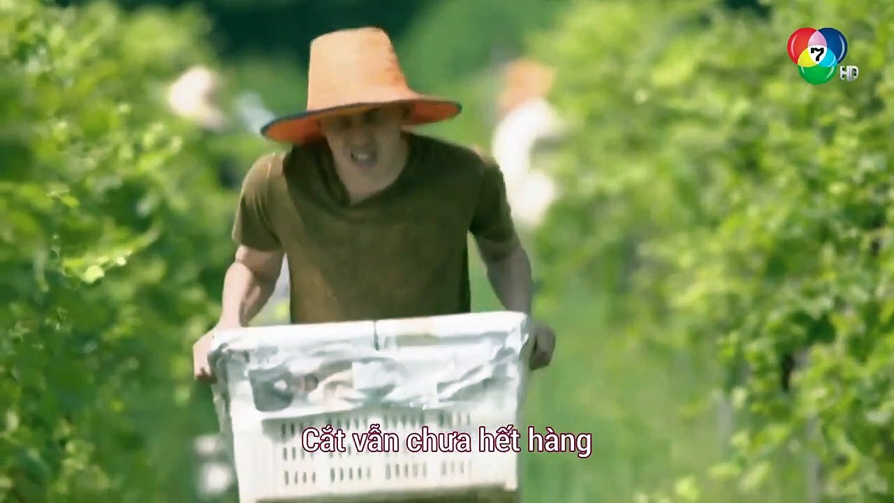 Bẫy Tình Ngọt Ngào Tập 14 VietSub