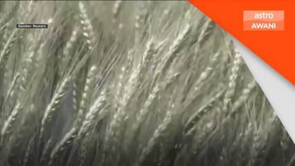 Rusia ulangi pendirian tarik diri daripada perjanjian bijirin laut hitam