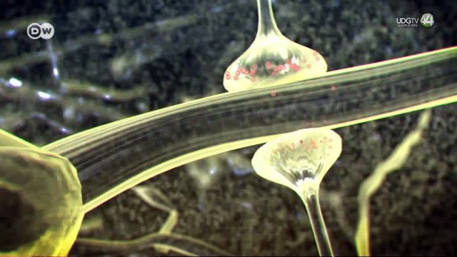 Piden psiquiatras socializar tratamientos para trastornos mentales