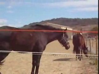 30 millions d'amis...