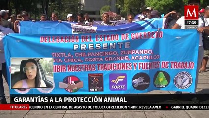 ¿Qué sanciones habrá para las personas que realicen peleas de gallos?