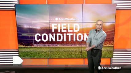 Your weekend sports forecast for mid-July