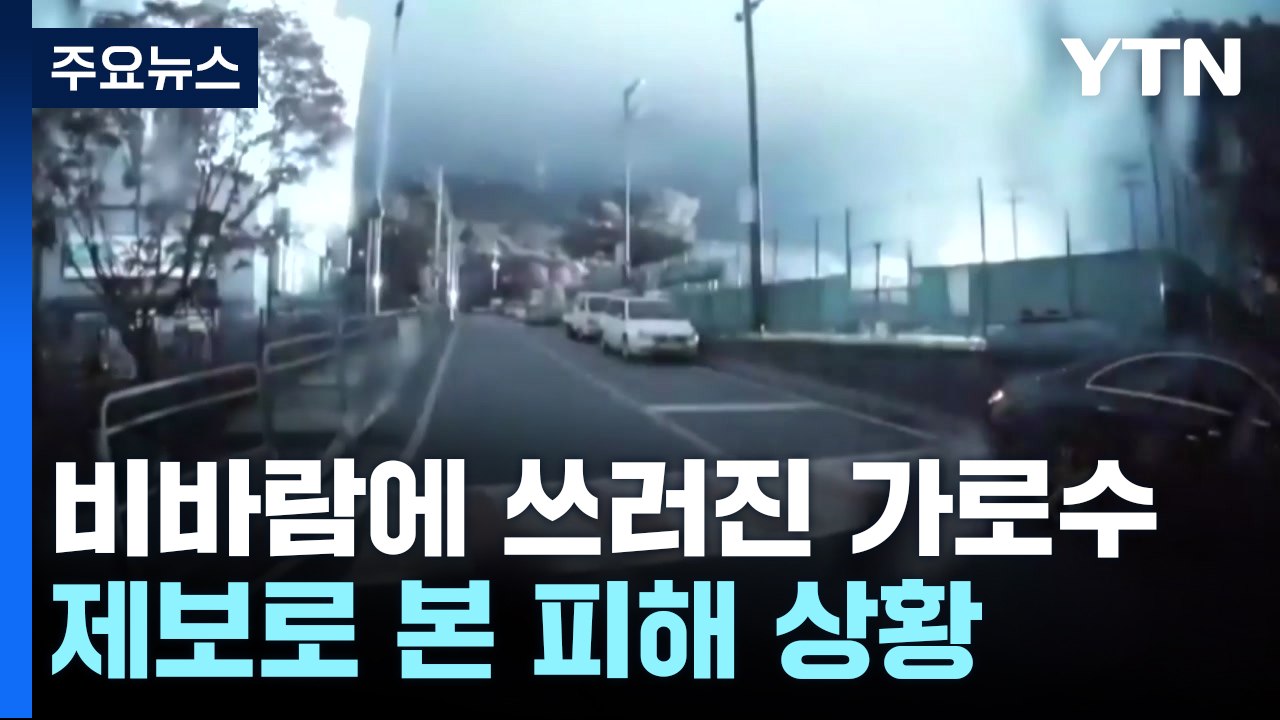 비바람에 쓰러져버린 가로수...곳곳에 정전 피해 [앵커리포트] / YTN