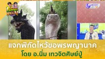 แจกพิกัดไหว้ขอพรพญานาค จ.อุบลราชธานี (11 ก.ค.66) | ก้องซด พชร์มู