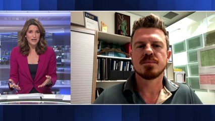 Crocodile attack triggers talks of species protections