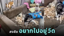 โอ๊ยน้อชีวิตทาส ! เสียเงินซื้ออาหารแล้วยังต้องเจอสิ่งนี้.. วัดเท่านั้นคือทางออก