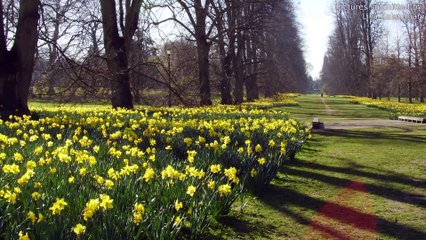 Watch: We delve into this week's top stories