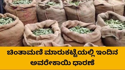 ಕೊಂಚ ಏರಿಕೆಯಾದ ಅವರೆಕಾಯಿ ಧಾರಣೆ: ಹೀಗಿದೆ ಇಂದಿನ ರೇಟ್
