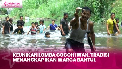 Keunikan Lomba Gogoh Iwak, Tradisi Menangkap Ikan Warga Bantul