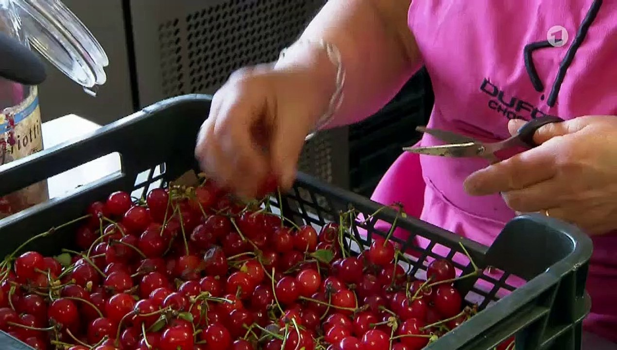 Verrückt nach Fluss S1/E14 Mit dem Esel durch Burgund