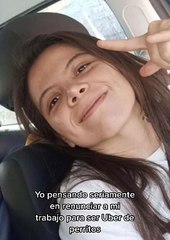 "Los mejores clientes": Joven renuncia a su trabajo para ser chofer de perritos