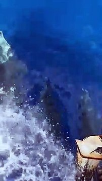 Spettacolo a Panarea: piroette e salti dei delfini davanti ai turisti