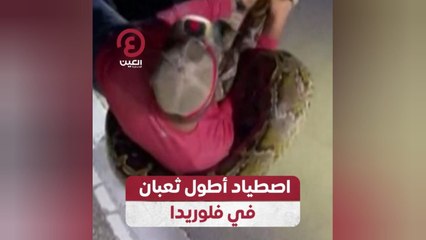 اصطياد أطول ثعبان في فلوريدا