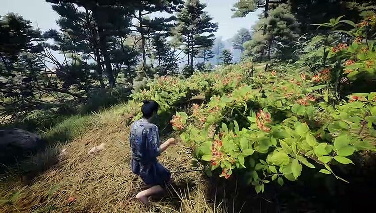 Sengoku Dynasty zeigt sein Gameplay im Trailer