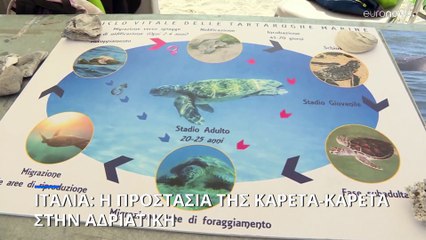 Αδριατική: Εξάπλωση της καρέτα- καρέτα, προσπάθειες για την προστασία των φωλιών
