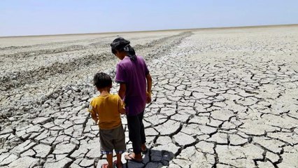 Climate Crisis, Drought in Iraq kills Millions of Fishes
