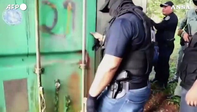 Sequestrate sei tonnellate di pinne di squalo a Panama, cinque arresti
